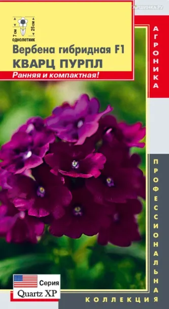 Вербена Кварц Пурпл F1 гибридная (серия Quartz XP) 5 шт, Плазменные семена