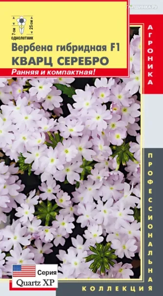 Вербена Кварц Серебро F1 гибридная (серия Quartz XP) 5 шт, Плазменные семена