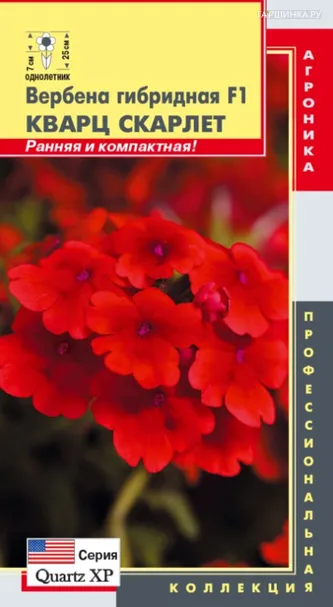 Вербена Кварц Скарлет F1 гибридная (серия Quartz XP) 5 шт, Плазменные семена