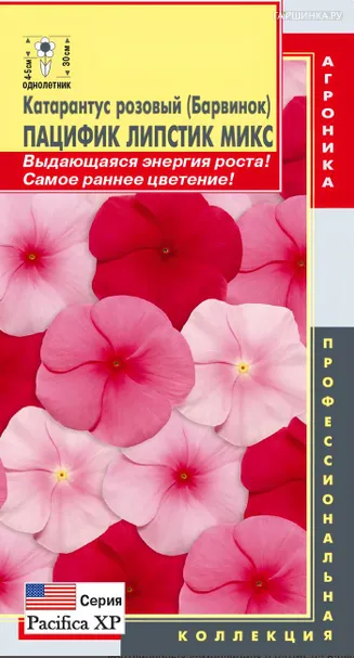 Катарантус розовый (Барвинок) Пацифик Липстик Микс 8 шт, Плазменные семена