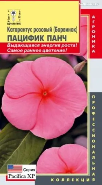 Катарантус розовый (Барвинок) Пацифик Панч 8 шт, Плазменные семена