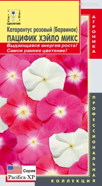 Катарантус розовый (Барвинок) Пацифик Хэйло Микс 8 шт, Плазменные семена