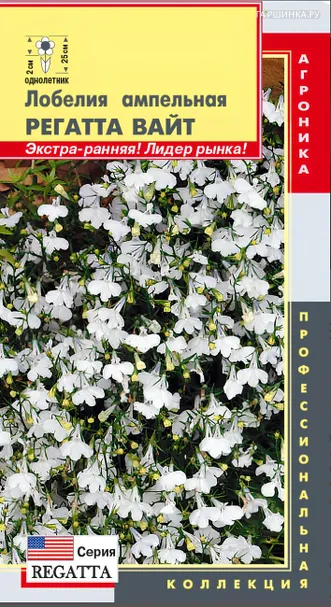 Лобелия Регатта Вайт ампельная (серия Regatta) 8 шт, Плазменные семена