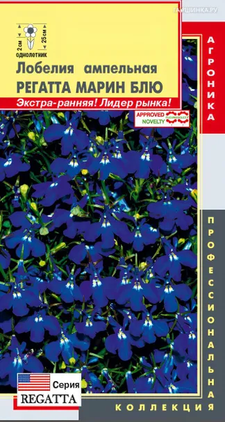 Лобелия Регатта Марин Блю ампельная (серия Регатта) 8 шт, Плазменные семена