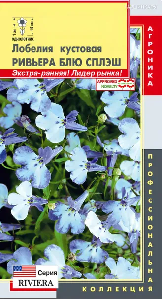 Лобелия Ривьера Блю Сплэш кустовая (серия Ривьера) 8 шт, Плазменные семена