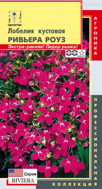 Лобелия Ривьера Роуз кустовая (серия Ривьера) 8 шт, Плазменные семена