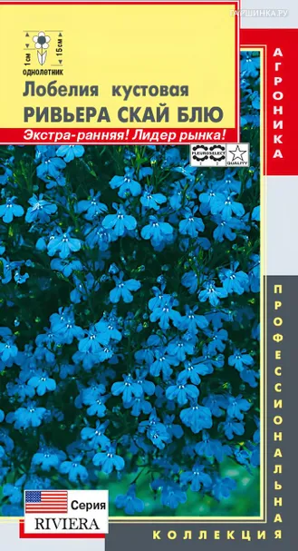Лобелия Ривьера Скай Блю кустовая (серия Riviera) 8 шт, Плазменные семена