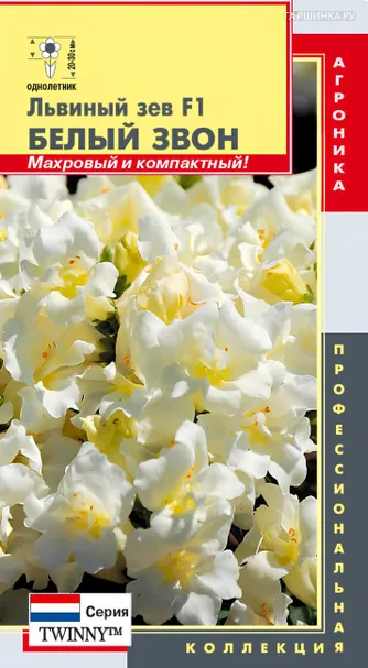 Львиный зев Белый звон F1 (серия Твинни) 10 шт, Плазменные семена