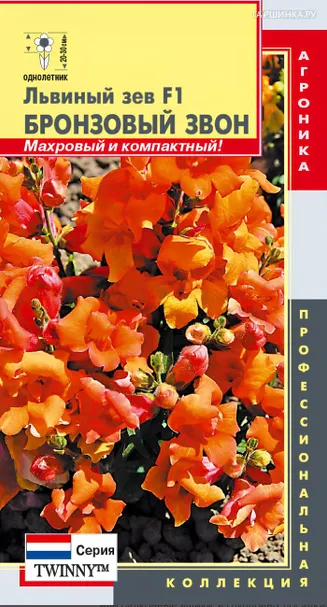 Львиный зев Бронзовый звон F1 (серия Twinny) 10 шт, Плазменные семена