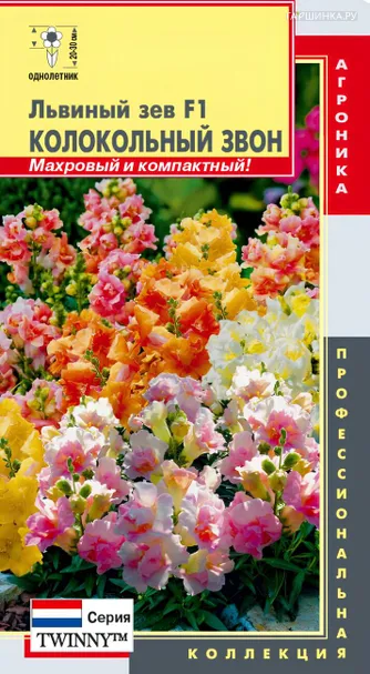 Львиный зев Колокольный звон F1 (серия Twinny) 10 шт, Плазменные семена