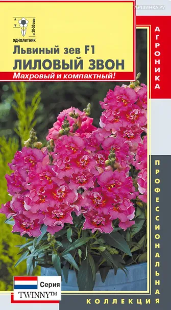 Львиный зев Лиловый звон F1 (серия Твинни) 10 шт, Плазменные семена