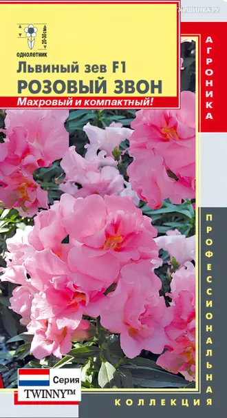 Львиный зев Розовый звон F1 (серия Twinny) 10 шт, Плазменные семена