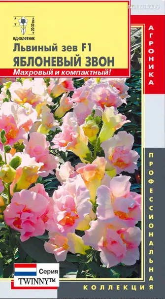 Львиный зев Яблоневый звон F1 (серия Твинни) 10 шт, Плазменные семена