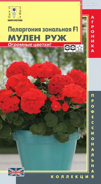 Пеларгония Мулен Руж F1 зональная 3 шт, Плазменные семена