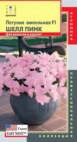 Петуния Шелл Пинк F1 ампельная (серия Easy Wave) 5 шт, Плазменные семена