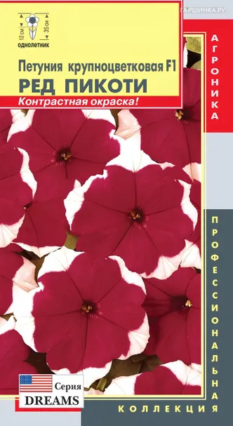 Петуния Пикоти Ред крупноцветковая F1 (Серия Dreams) 10 шт, Плазменные семена