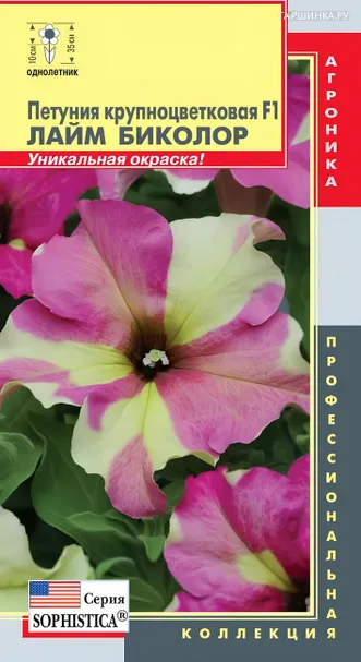 Петуния Лайм Биколор крупноцветковая F1 (серия Sophistica) 5 шт, Плазменные семена