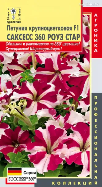 Петуния Роуз Стар крупноцветковая F1 (серия Success! 360) 10 шт, Плазменные семена