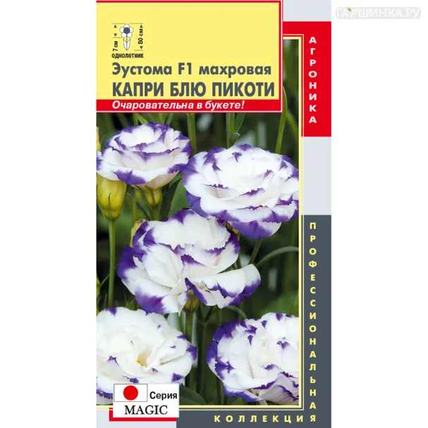 Эустома Мэджик Капри Блю Пикоти F1 махровая 5 шт, Плазменные семена