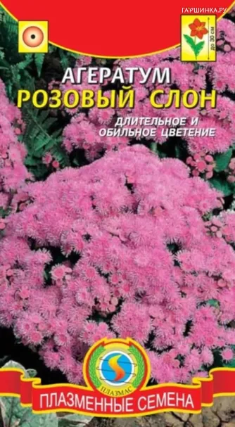 Агератум Розовый слон 0,05 г, Плазменные семена