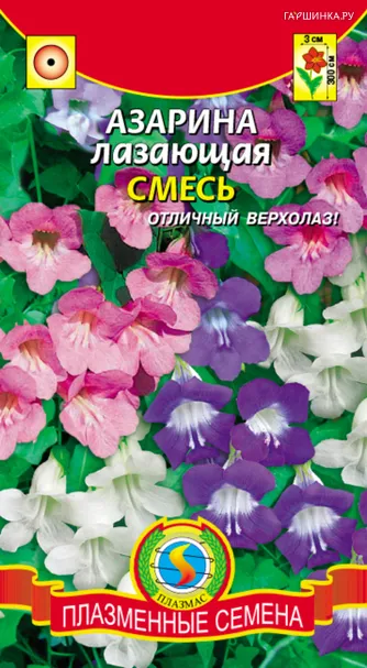 Азарина лазающая Смесь 10 шт, Плазменные семена