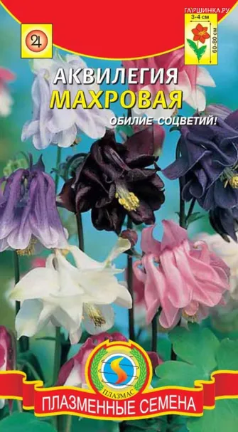 Аквилегия махровая 0,1 г, Плазменные семена