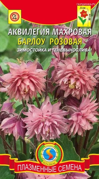 Аквилегия махровая Барлоу Розовая 9 шт Плазменные семена