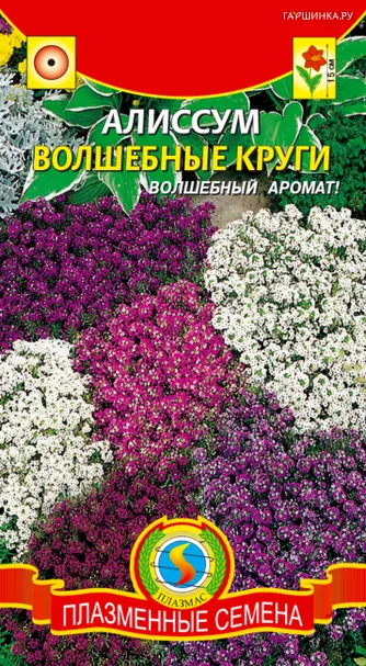 Алиссум Волшебные круги 0,1 г, Плазменные семена