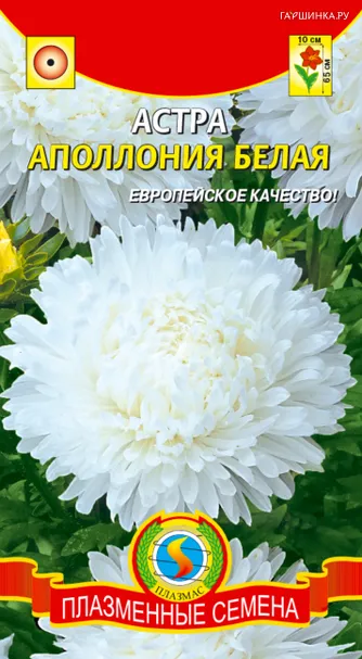 Астра Аполлония Белая 0,2 г, Плазменные семена