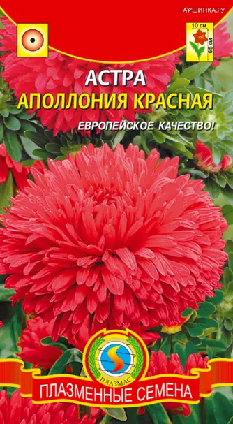 Астра Апполония Красная 0,2 г, Плазменные семена