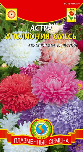 Астра Апполония смесь 0,2 г, Плазменные семена
