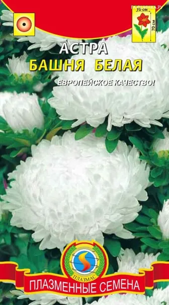 Астра Башня Белая 0,3 г, Плазменные семена
