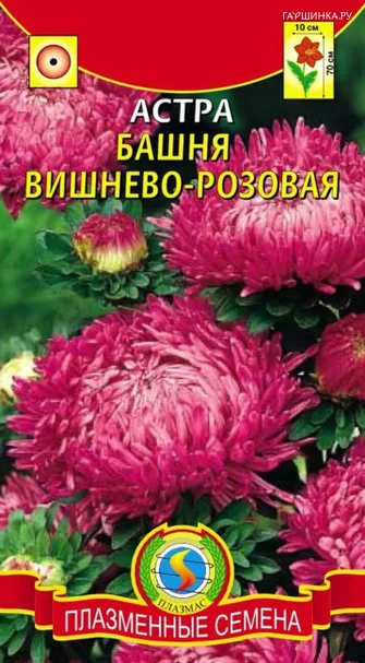 Астра Башня Вишнево-розовая 0,3 г, Плазменные семена
