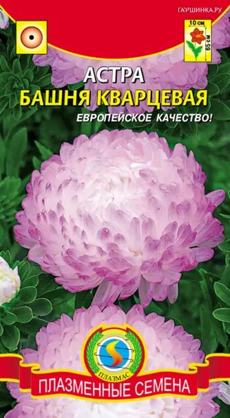 Астра Башня Кварцевая 0,3 г, Плазменные семена