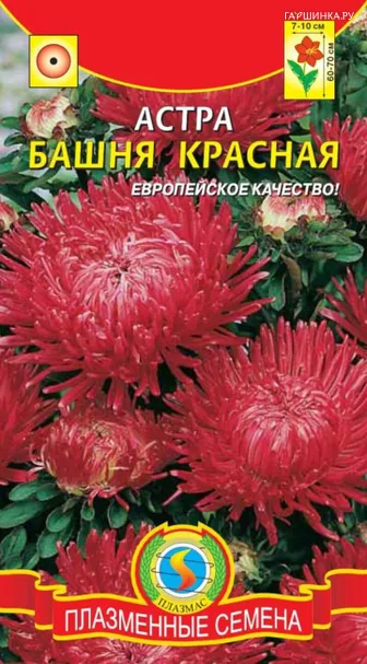 Астра Башня Красная 0,3 г, Плазменные семена