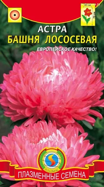 Астра Башня Лососевая 0,3 г, Плазменные семена