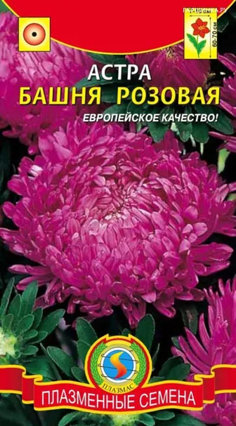 Астра Башня Розовая 0,3 г, Плазменные семена
