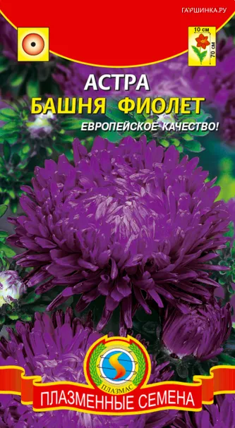 Астра Башня Фиолет 0,3 г, Плазменные семена