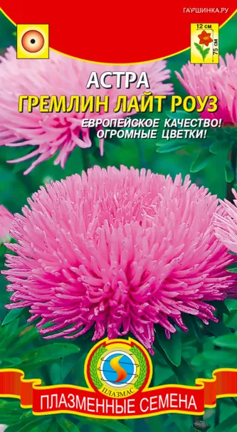 Астра Гремлин лайт-роуз 0,2 г, Плазменные семена