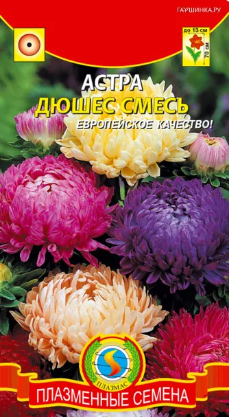Астра Дюшес Смесь 0,3 г, Плазменные семена