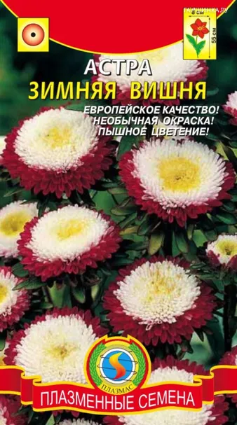 Астра Зимняя вишня 0,1 г, Плазменные семена