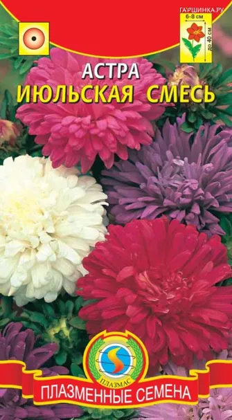 Астра Июльская смесь 0,3 г, Плазменные семена