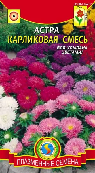 Астра Карликовая смесь 0,3 г, Плазменные семена