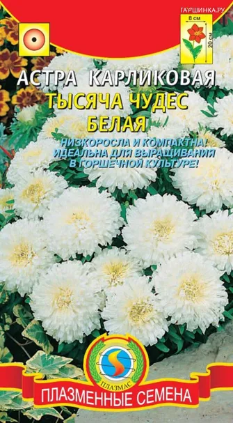 Астра Тысяча чудес белая карликовая  0,2г, Плазменные семена