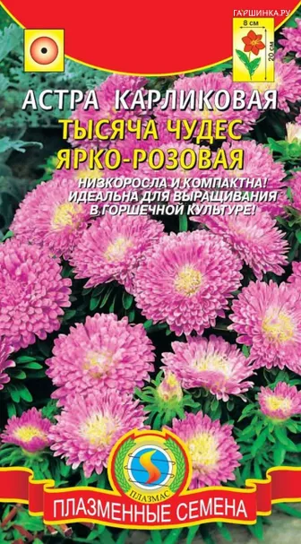 Астра Тысяча чудес ярко-розовая карликовая 0,2г, Плазменные семена