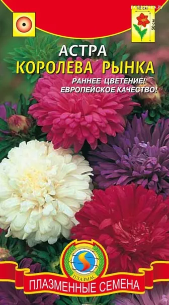 Астра Королева рынка 0,3 г, Плазменные семена
