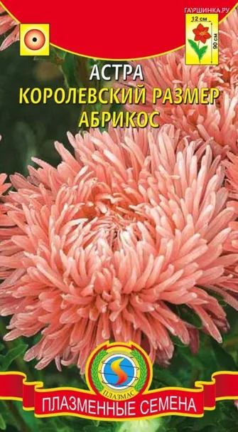 Астра Королевский размер  Абрикос 0,1 г, Плазменные семена