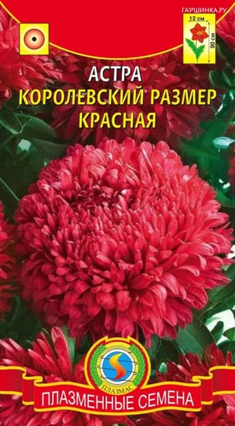 Астра Королевский размер красная 0,1 г, Плазменные семена