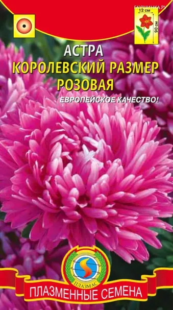 Астра Королевский размер розовая 0,1 г, Плазменные семена