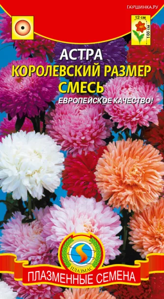 Астра Королевский размер смесь 0,1 г, Плазменные семена